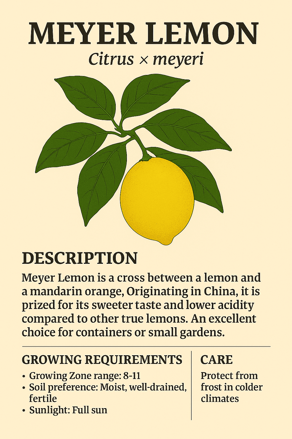 Meyer Lemon logo